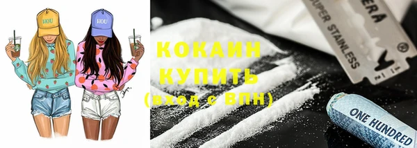 сатива Аркадак