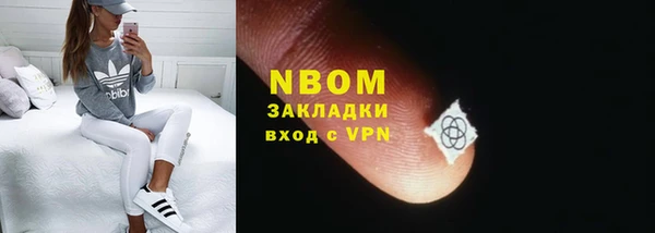 сатива Аркадак