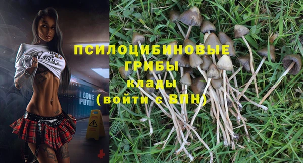 сатива Аркадак