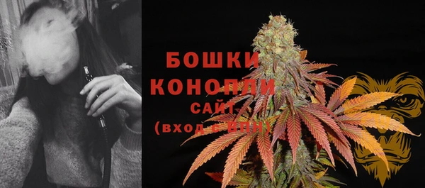 прущие грибы Тобольск