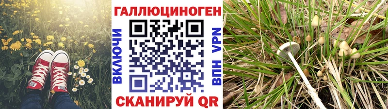 Галлюциногенные грибы мицелий  Купить  Заволжье 